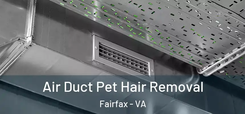 Air Duct Pet Hair Removal Fairfax - VA