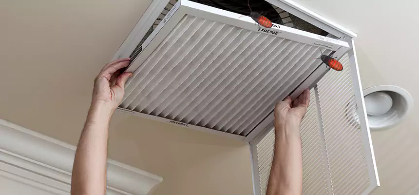 Our Insect Removal from Air Ducts Services in Fairfax, VA