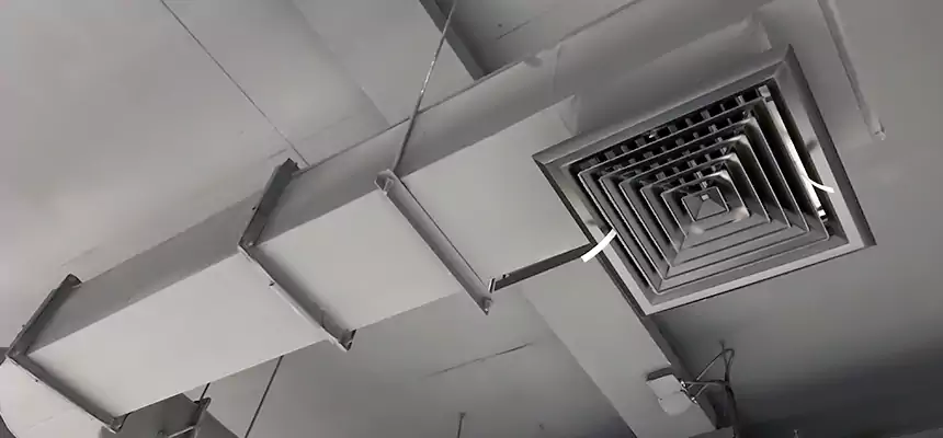 Our Pest Removal From Ducts Services in Fairfax, VA