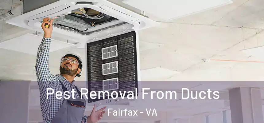 Pest Removal From Ducts Fairfax - VA