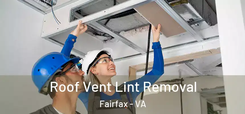  Roof Vent Lint Removal Fairfax - VA