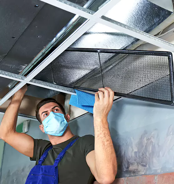 Professional Air Duct Pollen Cleaning in Fairfax, VA