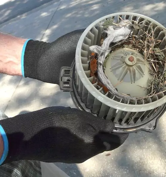 About Air Duct Rat Removal in Fairfax, VA