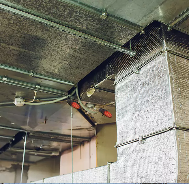 Why Homeowners & Businesses Trust Us Fairfax, VA?